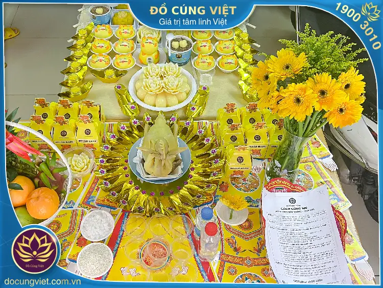 Hình ảnh hoa đồng tiền
